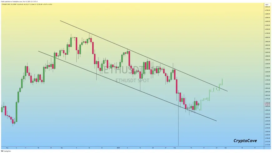 Will Ethereum Price Bounce Back after Peak Bearishness?