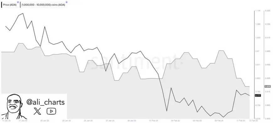 Whale Activity Surge and Grayscale's Cardano Spot ETF Filing May Impact ADA's Price Trajectory