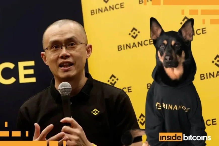 CZ'S Dog Price Prediction: BROCCOLI On BNB Chain Skyrockets 202K% After CZ Names His Dog, While This AI Agent Pepe ICO Hurtles Past $6 Million