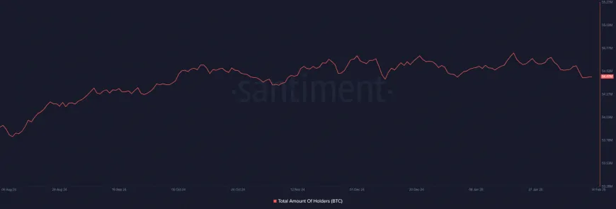 Bitcoin's Non-Empty Wallets Hit Five-Month Low, Raising Questions About Retail Exits and Whale Accumulation Potential