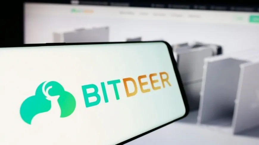 Bitdeer's Bitcoin Holdings Rise to 833 BTC