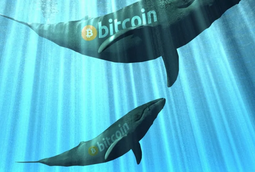 Bitcoin Whale Resurfaces After 10 Years with Almost $30M in Assets