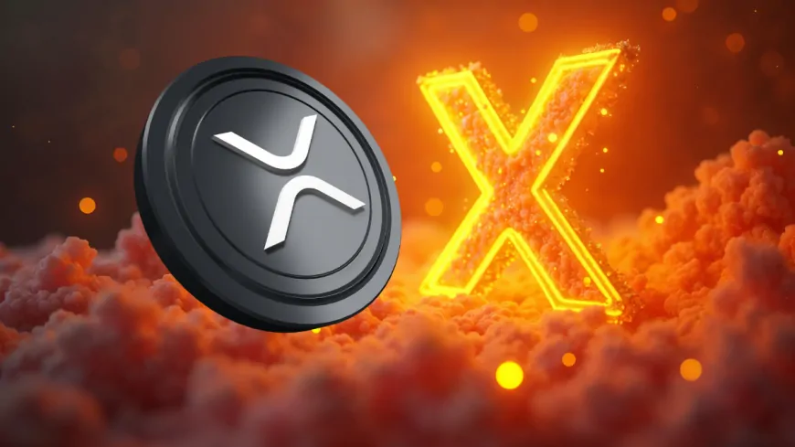 Bitcoin's Bull Market Picks: These 5 XRP-Friendly Cryptos Could Skyrocket 10,000%!