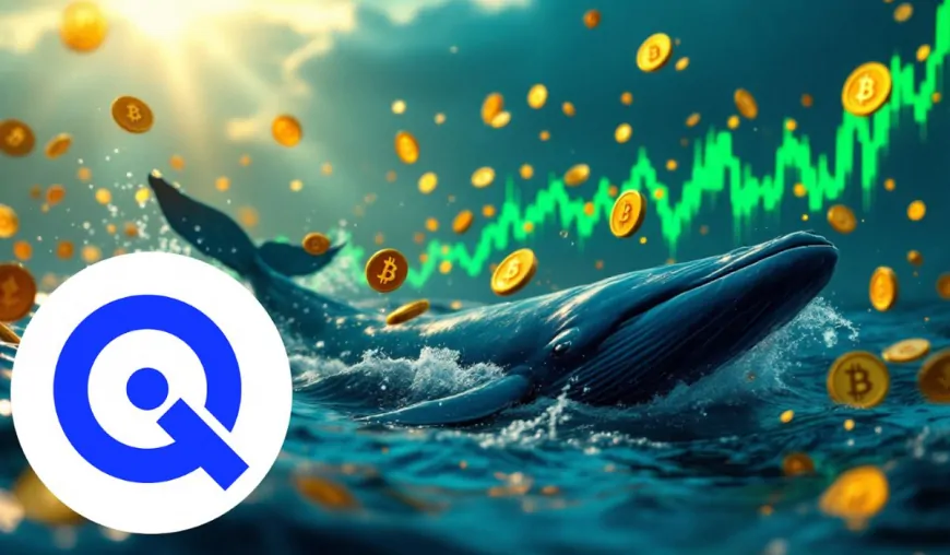 WallitiQ (WLTQ) Sees $5,000,000 Buy-In, Experts Sound The Alarm ‘This Beats DOGE's 2021 Run'