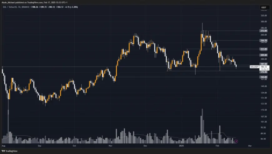 SOLANA PRICE ANALYSIS & PREDICTION (February 17) – Sol Sets to Break This Critical Support, Bigger Drop Ahead