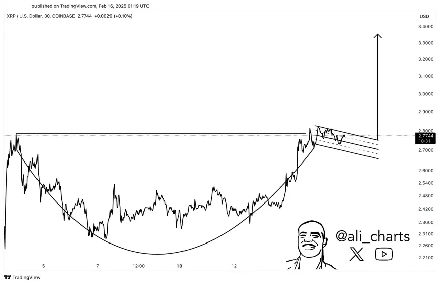 Will XRP Price Price Recover Past $3 Soon as Elon Musk's DOGE Targets SEC