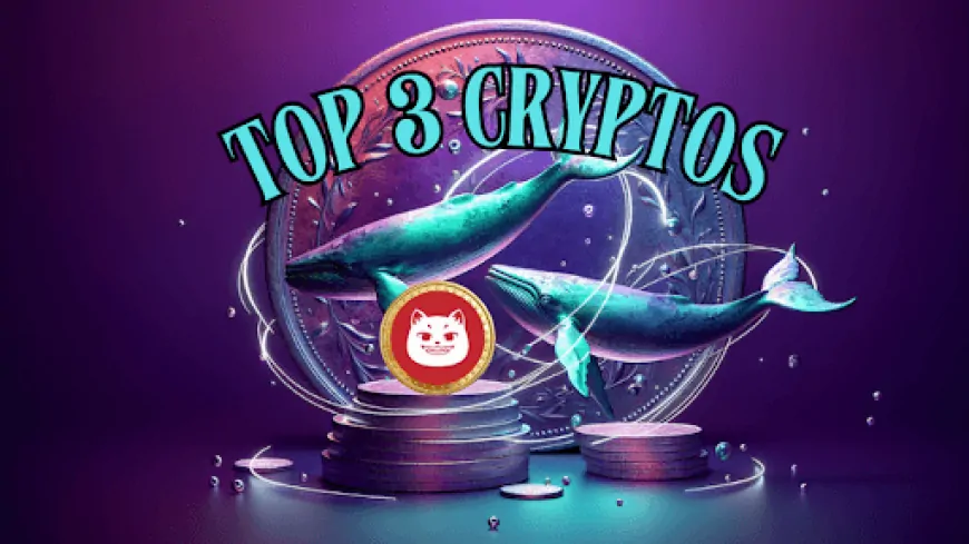 Top 3 Altcoins Crypto Whales Can't Stop Buying Right Now While Prices Are Discounted!