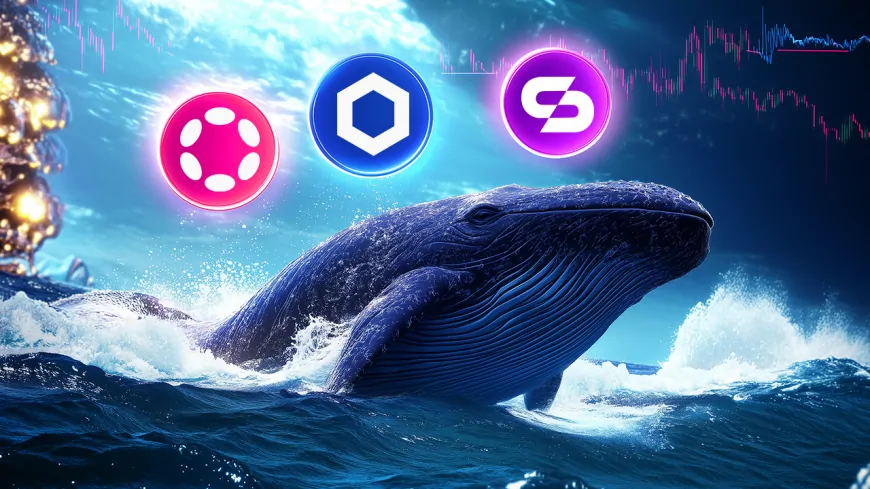 Whale Alert: Large Buys Detected in Skyren DAO, DOT, and LINK Drive Prices Up