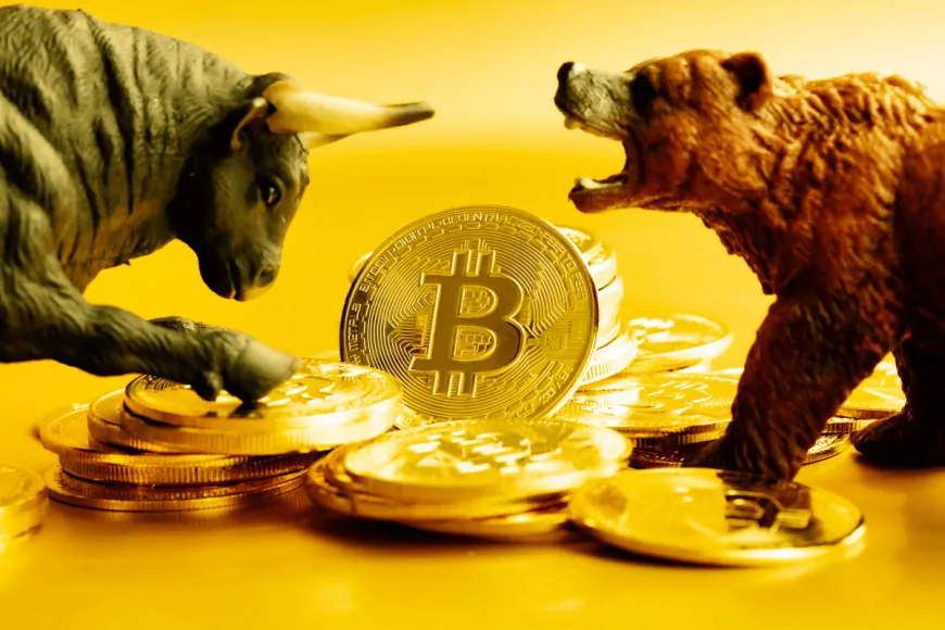 Is Bitcoin's Rally Over or Will It Continue? “Torrent of Capital…”