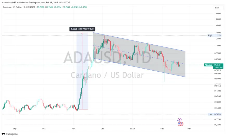 Cardano Faces Further Decline as Bearish Indicators Emerge and Whale Activity Drops