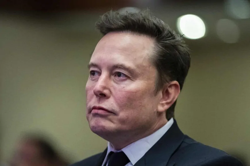 Elon Musk's DOGE Faces Legal Challenges as Democrats Push for Action