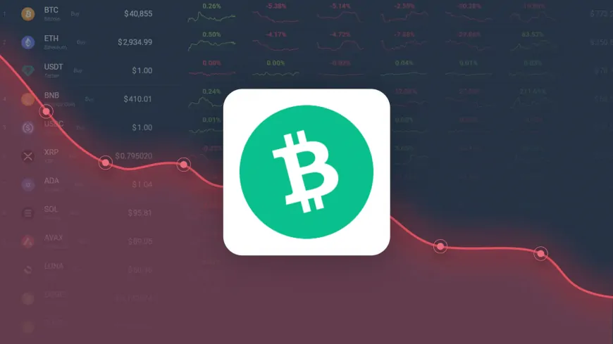 Bitcoin Cash is Predicted to Drop to $ 288.05 By Feb 25, 2025