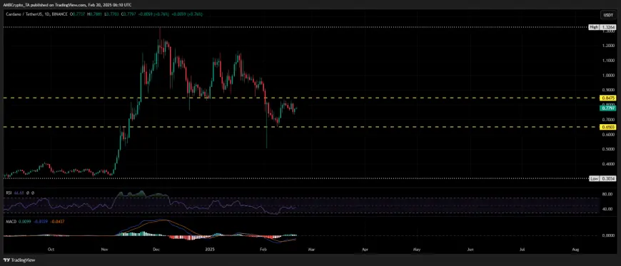 Can Cardano (ADA) Maintain Its Momentum or Face a Potential Pullback?