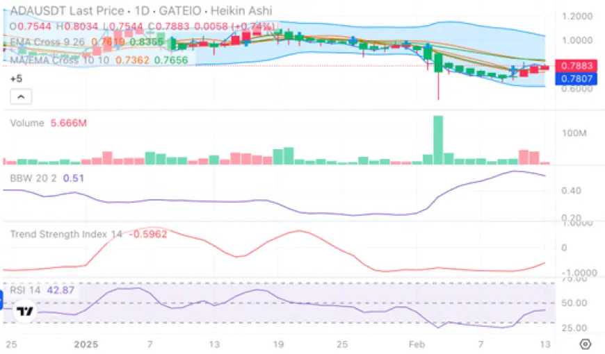 Cardano (ADA) Rallies Amid Trump- Cardano Founder Collaboration