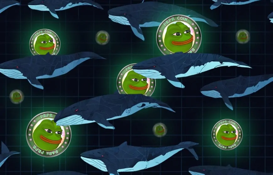 PEPE Trading Volume Explodes 164% – Are Whales Preparing for $1 PEPE? 