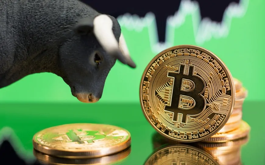 Bitcoin is Recovering – What's Driving the Rise? What is the Latest Liquidation Data?