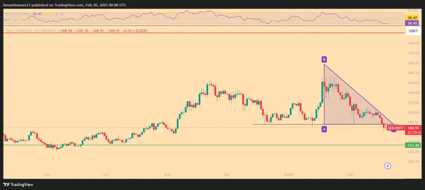 Solana Price Battles to Hold $170—More Pain Ahead?