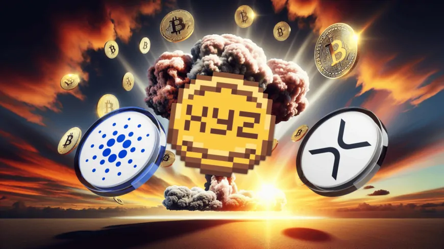 Cardano & XRP Holders Are Betting Big On This 50x Altcoin