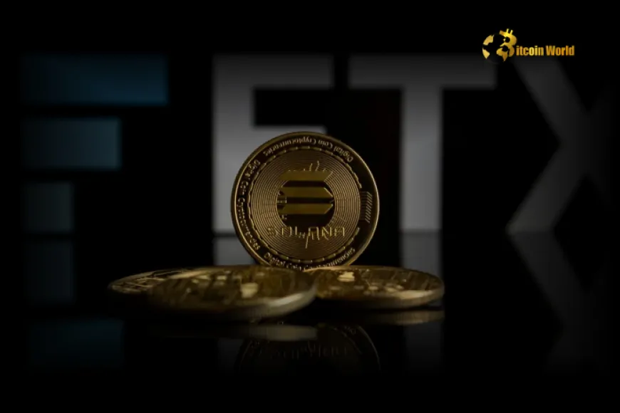 Hopeful Comeback: 79% of FTX Creditors Plan Bold Crypto Reinvestment, Eyeing Solana & Memecoins