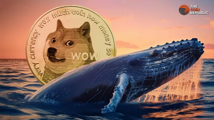 What's Next For Dogecoin Price As Whales Sell 100M DOGE?