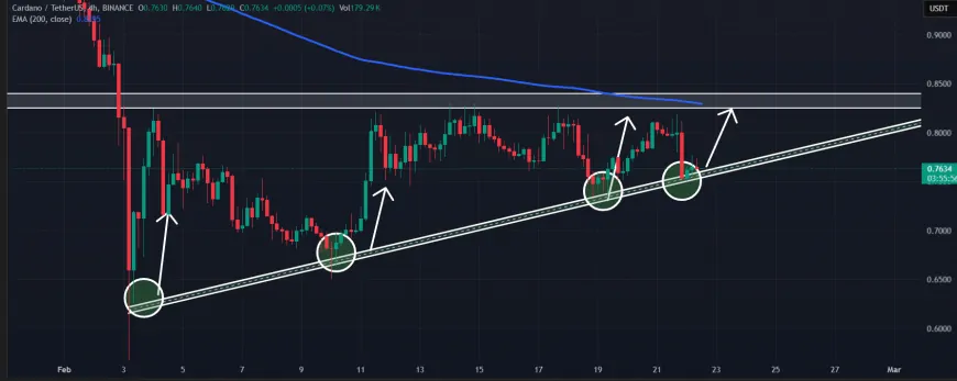 Cardano Faces Uncertainty Post-ByBit Hack: Can It Maintain Key Support at $0.74?