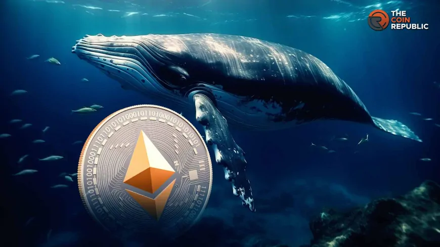 Whales Stacking Up Ethereum, Price Heads For $3K, $4K Soon?