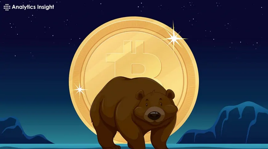 Is Bitcoin Heading for a Bear Market? Key Indicators Explained