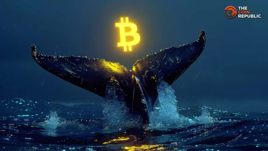 Bitcoin News: Whales On The Move, Global Money Supply Rallies To New Highs