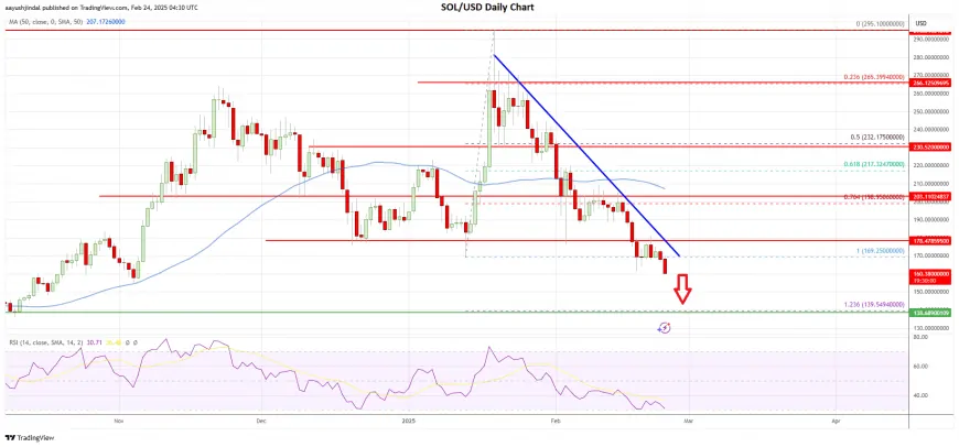 Solana (SOL) In Freefall — Is A 15% Crash Inevitable?