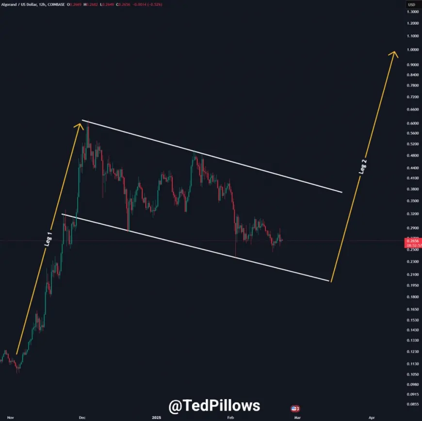 Potential Breakout for Algorand (ALGO) as Market Sentiment and Technical Signals Strengthen