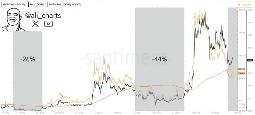 Dogecoin & Cutoshi: With DOGE Facing Downturn, Is $CUTO the Next 100x Opportunity?