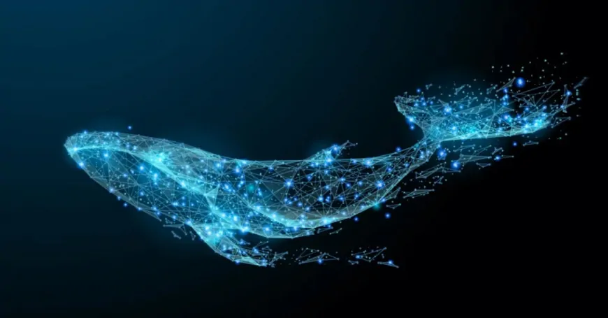 Whales Hedge Against Solana's Volatility Ahead of $2B Token Unlock