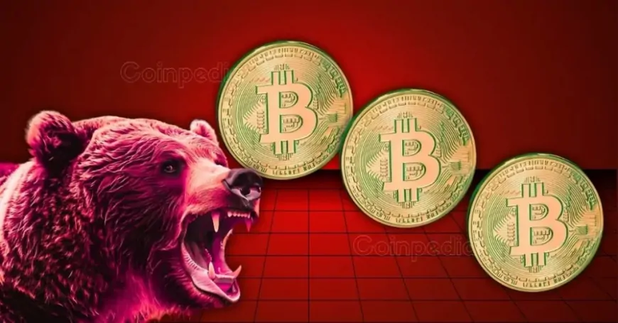 Crypto Market is Crashing: Bitcoin Sweeps Below $92,000 While ETH, DOGE, SOL, & SUI Face Major Pullback