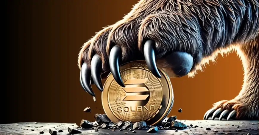 Is Solana Heading to $100: Is it Worth Buying SOL as Binance Wrecks Havoc on the Token? 