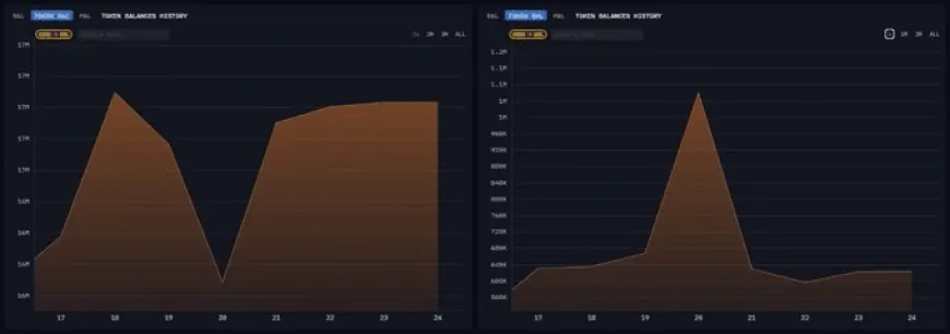 Binance's Alleged Market Manipulation: Could BNB Remain Resilient Amidst Altcoin Capitulation?