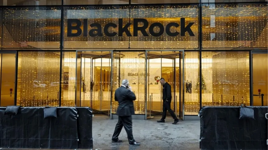 BlackRock not participating in the Solana ETF race 