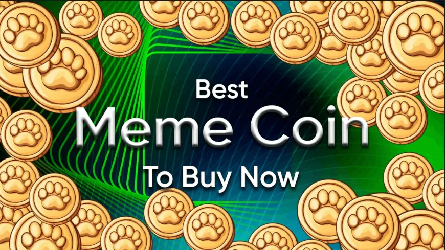 Best Meme Coin To Buy Now: This Hype-Driven Token Could Be The Next SHIB