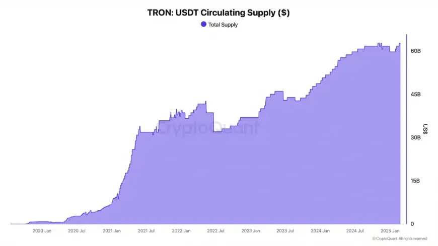 TRON's USDT Supply Reaches All-Time High, Indicating Potential Increase in Adoption and Liquidity