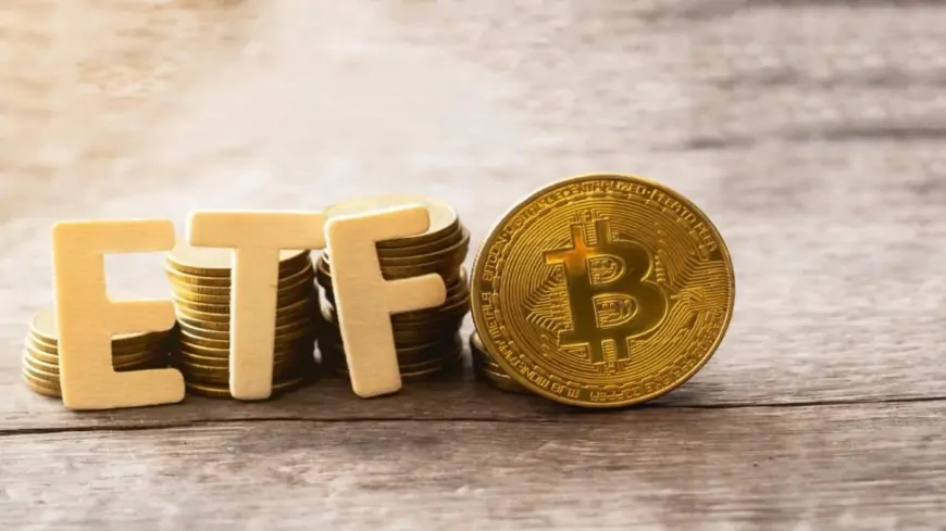 12 Spot Bitcoin ETF sees $754.53 million in outflows- SosoValue 