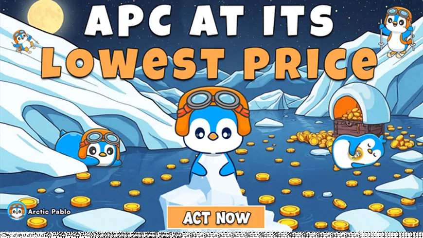 Last Chance! Arctic Pablo Presale Soars - The Best New Meme Coin to Buy Now as Bonk and Moo Deng Showcase Distinct Features