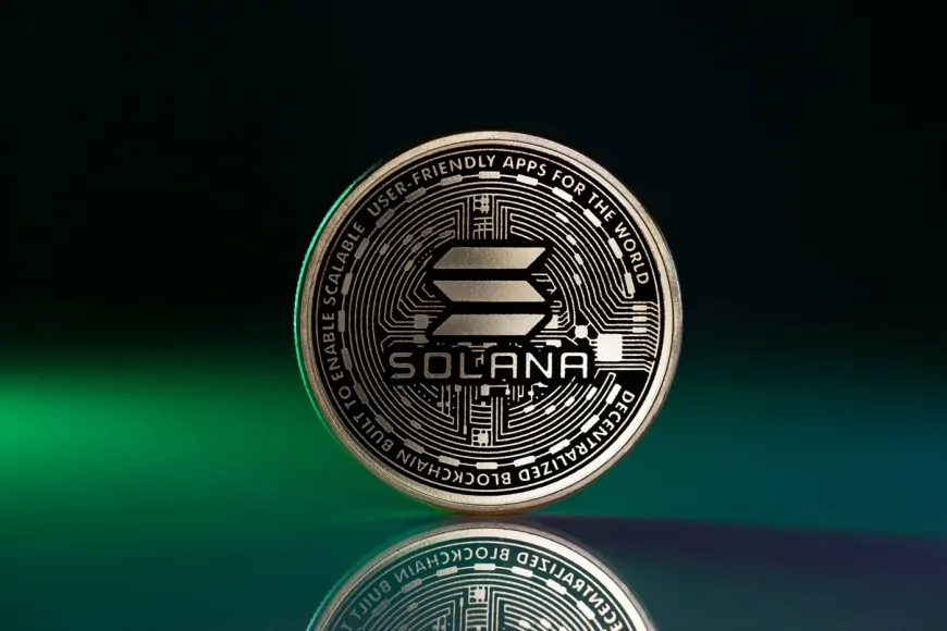 Solana Drops 50%—Asset Manager Warns ‘The Casino Is Collapsing'