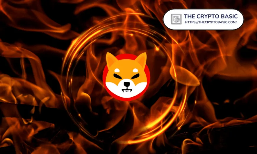 Shiba Inu Introduces New Contest That Could Burn 10B SHIB Daily