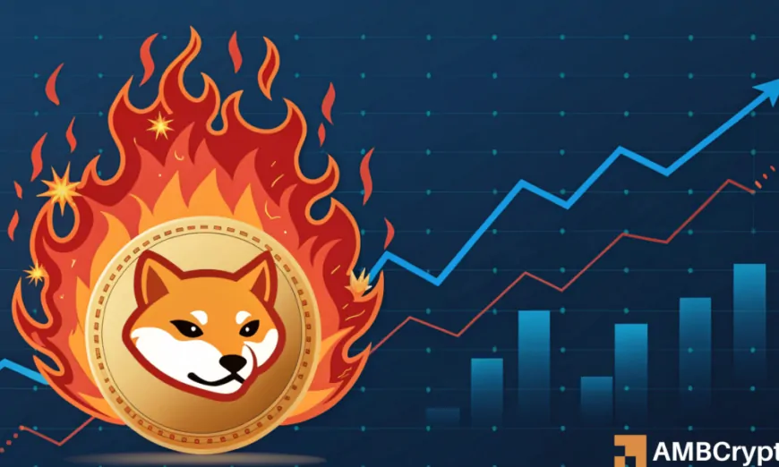 Shiba Inu: How can SHIB's 4137.17% burn rate trigger a bullish reversal?