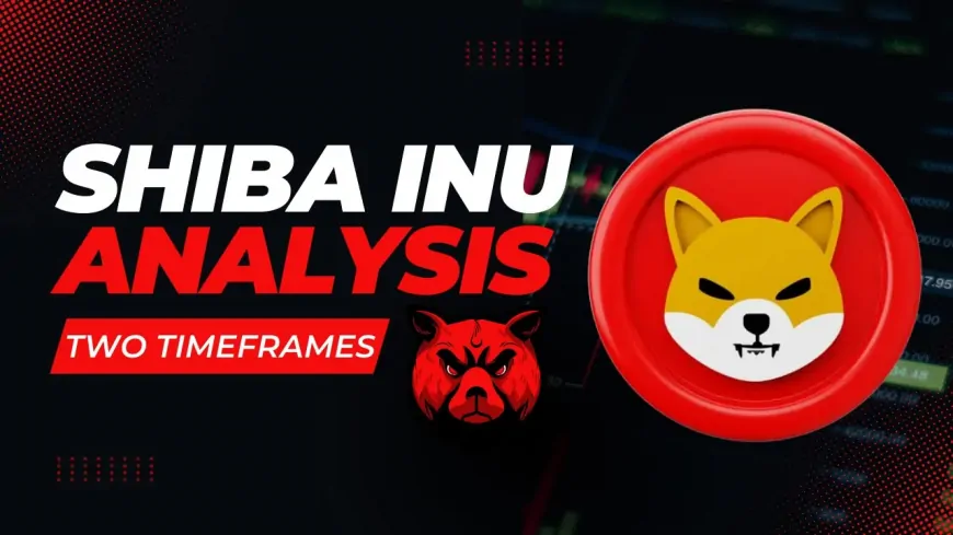 Shiba Inu (SHIB) Price Analysis: 28th February – Bearish Momentum Continues