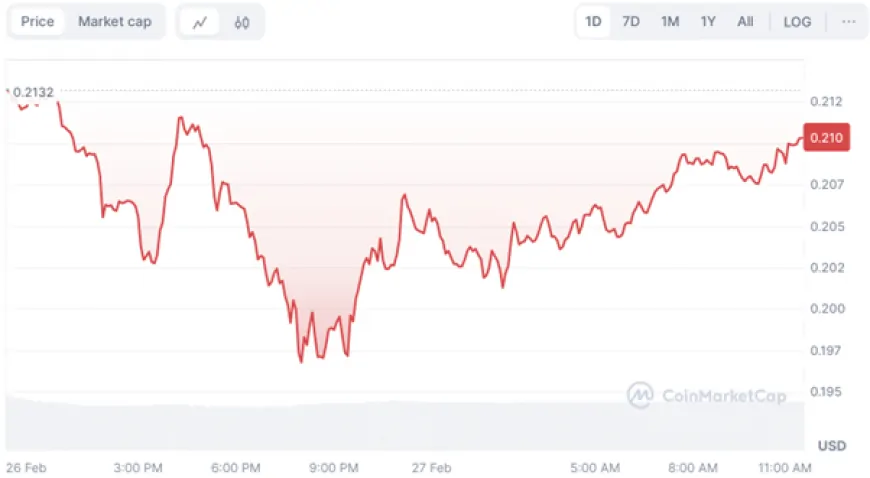 Could This ERC-20 Coin Be the Next $50 Billion Crypto? DOGE Traders Flock To DTX For 2x Gains