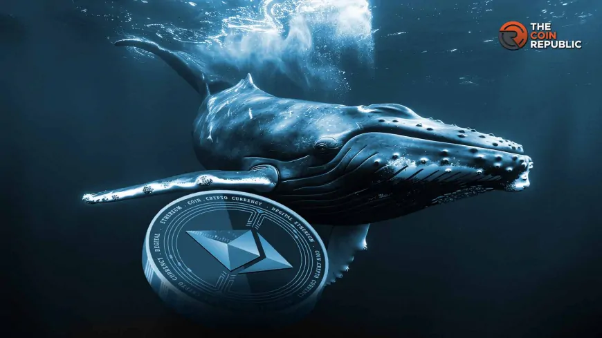 Whales Stacking Up Ethereum, Will Price Reclaim $3K?