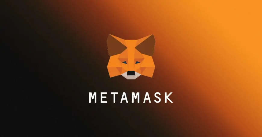 MetaMask to Support Solana and Bitcoin, Expanding Multi-Chain Capabilities