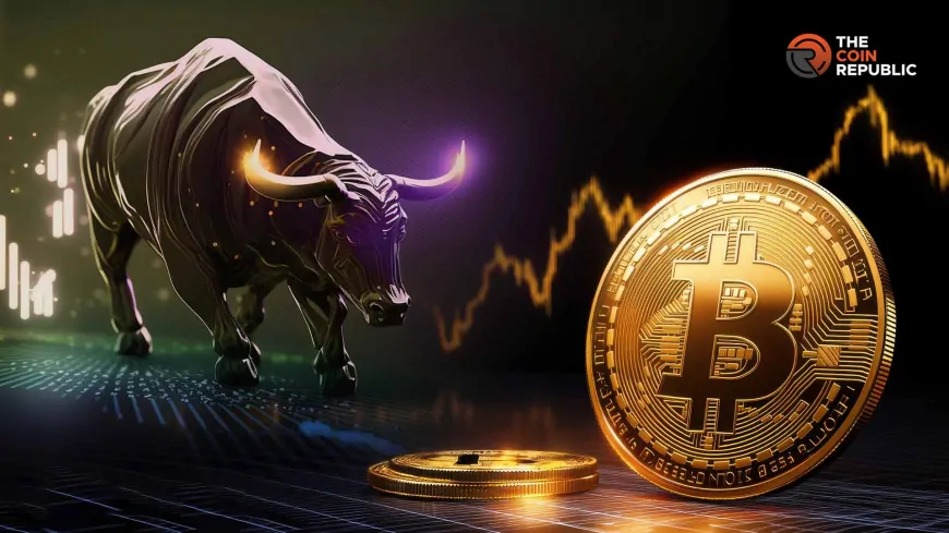 “Bull Run is Not Over”: Price Of Bitcoin Bottoming Out?