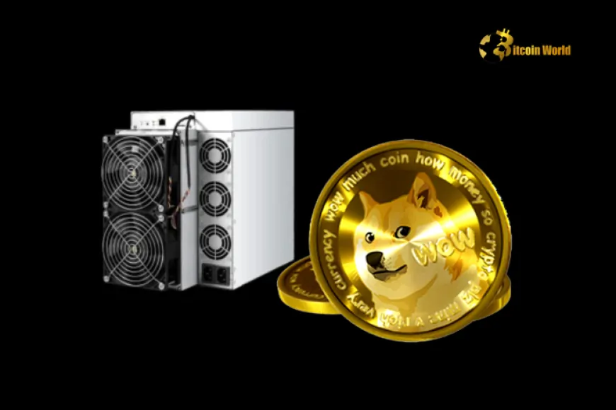 Unprecedented Surge: Doge Mining Rig Orders Explode for Intchains in 2024