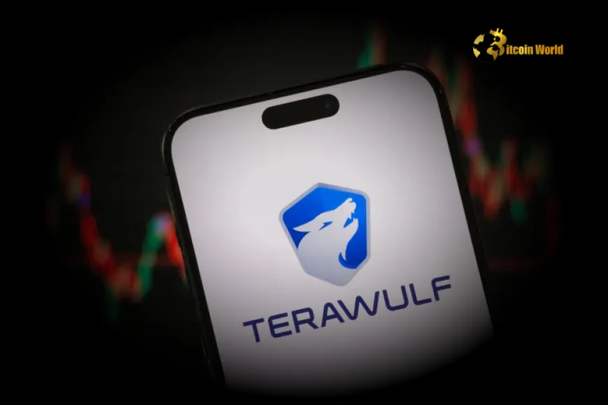 Explosive Growth: TeraWulf's Bitcoin Holdings Surge 400% in Spectacular Year